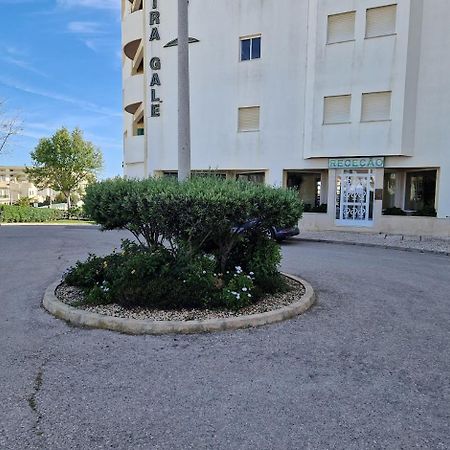 Apartamento T2 Palmeira Gale-Praia Da Gale Guia  Exteriör bild